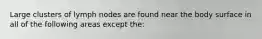 Large clusters of lymph nodes are found near the body surface in all of the following areas except the: