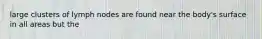 large clusters of lymph nodes are found near the body's surface in all areas but the