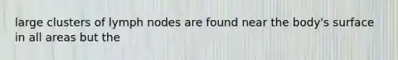 large clusters of lymph nodes are found near the body's surface in all areas but the