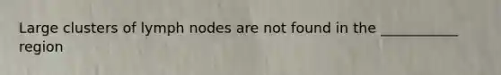 Large clusters of lymph nodes are not found in the ___________ region