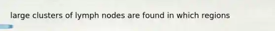 large clusters of lymph nodes are found in which regions