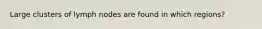 Large clusters of lymph nodes are found in which regions?