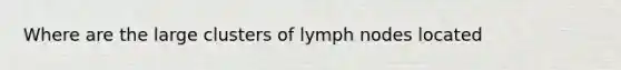 Where are the large clusters of lymph nodes located