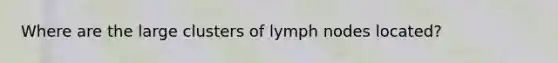 Where are the large clusters of lymph nodes located?