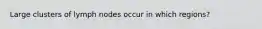 Large clusters of lymph nodes occur in which regions?