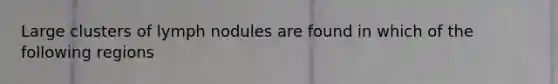Large clusters of lymph nodules are found in which of the following regions