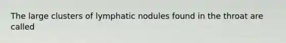 The large clusters of lymphatic nodules found in the throat are called