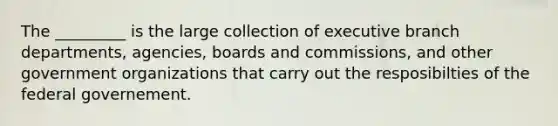 The _________ is the large collection of executive branch departments, agencies, boards and commissions, and other government organizations that carry out the resposibilties of the federal governement.