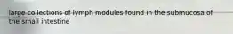 large collections of lymph modules found in the submucosa of the small intestine