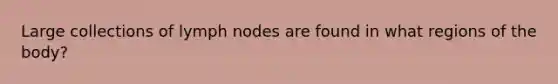 Large collections of lymph nodes are found in what regions of the body?