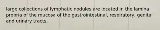 large collections of lymphatic nodules are located in the lamina propria of the mucosa of the gastrointestinal, respiratory, genital and urinary tracts.