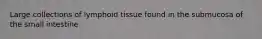 Large collections of lymphoid tissue found in the submucosa of the small intestine