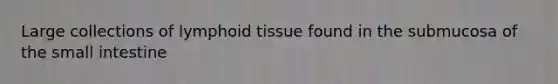 Large collections of lymphoid tissue found in the submucosa of the small intestine