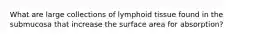 What are large collections of lymphoid tissue found in the submucosa that increase the surface area for absorption?