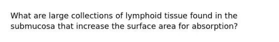 What are large collections of lymphoid tissue found in the submucosa that increase the surface area for absorption?