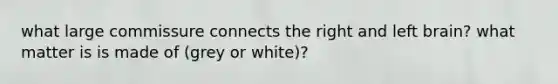 what large commissure connects the right and left brain? what matter is is made of (grey or white)?