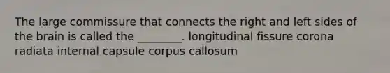 The large commissure that connects the right and left sides of the brain is called the ________. longitudinal fissure corona radiata internal capsule corpus callosum