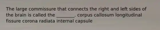 The large commissure that connects the right and left sides of the brain is called the ________. corpus callosum longitudinal fissure corona radiata internal capsule