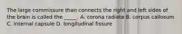 The large commissure than connects the right and left sides of the brain is called the _____. A. corona radiata B. corpus callosum C. internal capsule D. longitudinal fissure
