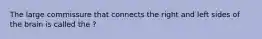 The large commissure that connects the right and left sides of the brain is called the ?