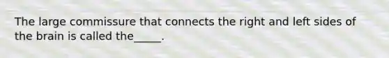 The large commissure that connects the right and left sides of the brain is called the_____.
