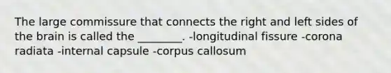 The large commissure that connects the right and left sides of the brain is called the ________. -longitudinal fissure -corona radiata -internal capsule -corpus callosum