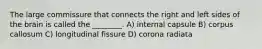 The large commissure that connects the right and left sides of the brain is called the ________. A) internal capsule B) corpus callosum C) longitudinal fissure D) corona radiata