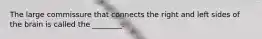 The large commissure that connects the right and left sides of the brain is called the ________.