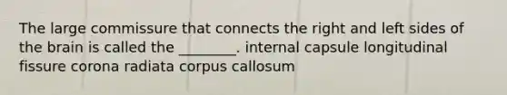 The large commissure that connects the right and left sides of the brain is called the ________. internal capsule longitudinal fissure corona radiata corpus callosum