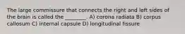 The large commissure that connects the right and left sides of the brain is called the ________. A) corona radiata B) corpus callosum C) internal capsule D) longitudinal fissure