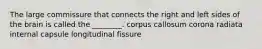 The large commissure that connects the right and left sides of the brain is called the ________. corpus callosum corona radiata internal capsule longitudinal fissure