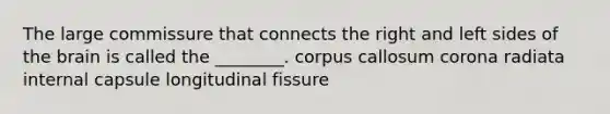 The large commissure that connects the right and left sides of the brain is called the ________. corpus callosum corona radiata internal capsule longitudinal fissure