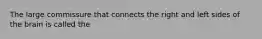 The large commissure that connects the right and left sides of the brain is called the