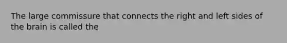 The large commissure that connects the right and left sides of the brain is called the