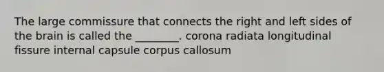 The large commissure that connects the right and left sides of the brain is called the ________. corona radiata longitudinal fissure internal capsule corpus callosum