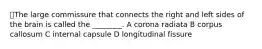 📕The large commissure that connects the right and left sides of the brain is called the ________. A corona radiata B corpus callosum C internal capsule D longitudinal fissure