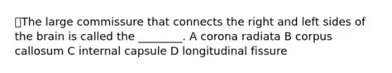 📕The large commissure that connects the right and left sides of the brain is called the ________. A corona radiata B corpus callosum C internal capsule D longitudinal fissure