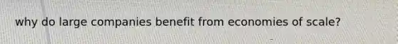 why do large companies benefit from economies of scale?