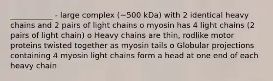 ___________ - large complex (~500 kDa) with 2 identical heavy chains and 2 pairs of light chains o myosin has 4 light chains (2 pairs of light chain) o Heavy chains are thin, rodlike motor proteins twisted together as myosin tails o Globular projections containing 4 myosin light chains form a head at one end of each heavy chain