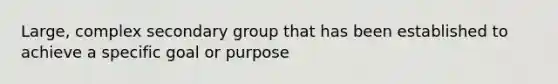 Large, complex secondary group that has been established to achieve a specific goal or purpose