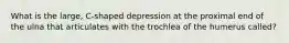 What is the large, C-shaped depression at the proximal end of the ulna that articulates with the trochlea of the humerus called?