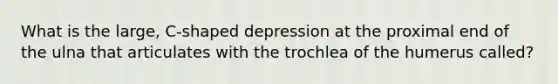 What is the large, C-shaped depression at the proximal end of the ulna that articulates with the trochlea of the humerus called?