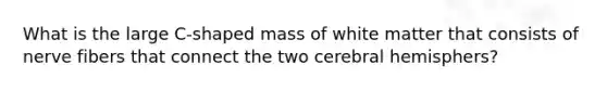 What is the large C-shaped mass of white matter that consists of nerve fibers that connect the two cerebral hemisphers?