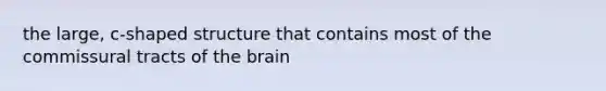 the large, c-shaped structure that contains most of the commissural tracts of the brain