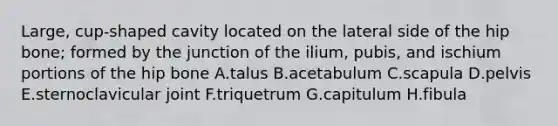 Large, cup-shaped cavity located on the lateral side of the hip bone; formed by the junction of the ilium, pubis, and ischium portions of the hip bone A.talus B.acetabulum C.scapula D.pelvis E.sternoclavicular joint F.triquetrum G.capitulum H.fibula