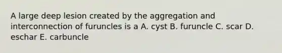 A large deep lesion created by the aggregation and interconnection of furuncles is a A. cyst B. furuncle C. scar D. eschar E. carbuncle