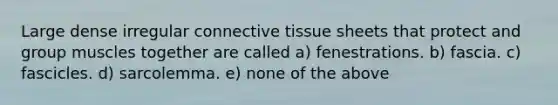 Large dense irregular connective tissue sheets that protect and group muscles together are called a) fenestrations. b) fascia. c) fascicles. d) sarcolemma. e) none of the above