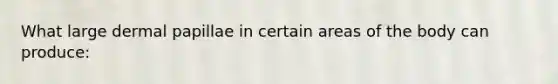 What large dermal papillae in certain areas of the body can produce: