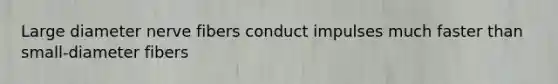 Large diameter nerve fibers conduct impulses much faster than small-diameter fibers
