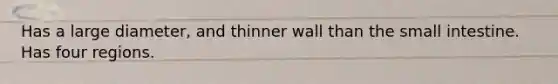 Has a large diameter, and thinner wall than the small intestine. Has four regions.